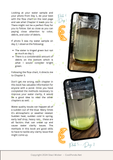 Clear Water: How to get rid of green, brown, or cloudy pond water and how to keep it clear -- eBook