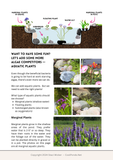 Clear Water: How to get rid of green, brown, or cloudy pond water and how to keep it clear -- eBook