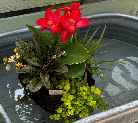 Floating Plant Island