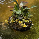 Floating Island -- Complete Kit