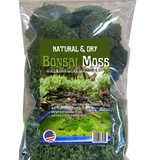 Live Moss