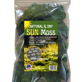 Live Moss