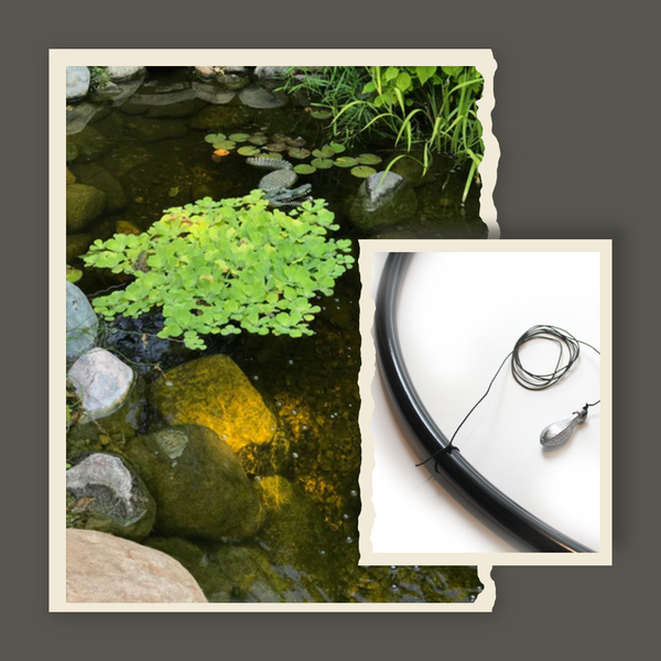 Floating Plant Ring – Cool Ponds