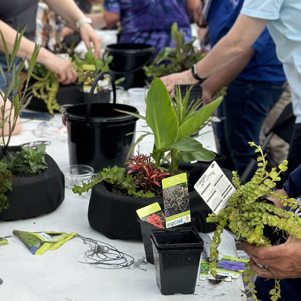 Floating Plant Island – Cool Ponds
