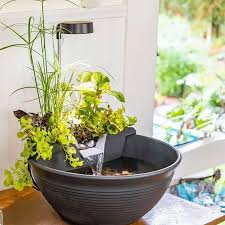 indoor water fountain with plants Aquagarden Table Top Fountain – Cool Ponds