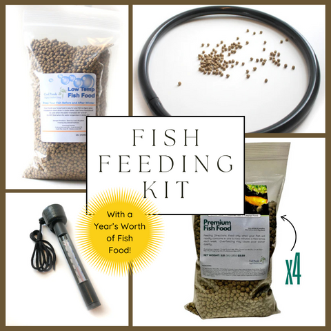 Fish Feeders Kit