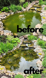 BioClear EXTREME