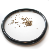 Fish Feeders Kit