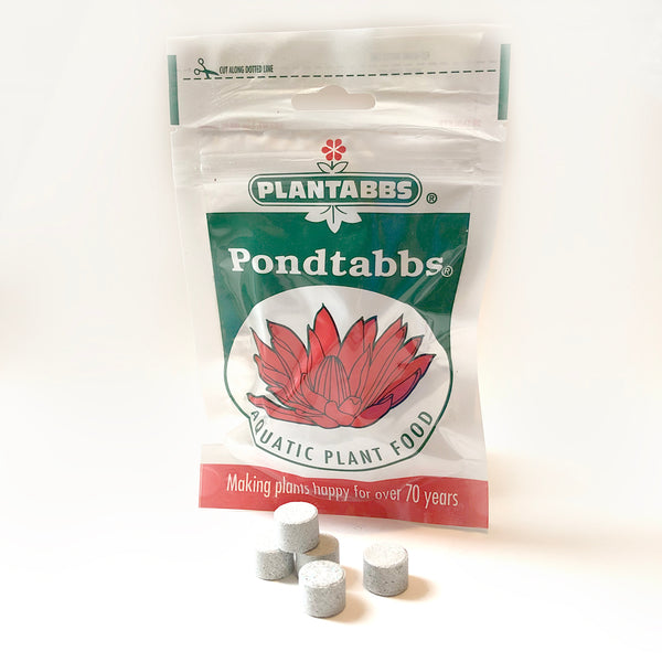 Plant Fertilizer Tabs Cool Ponds