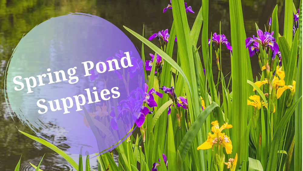 Spring Pond Supplies