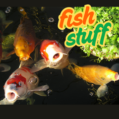 Fun Fish Accessories
