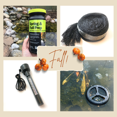 Fall Supplies