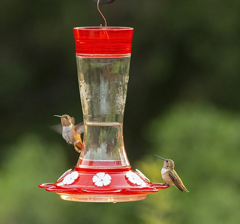 Garnet Hummingbird Feeder