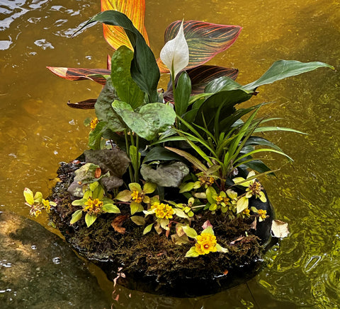Floating Plant Island – Cool Ponds - Main Image