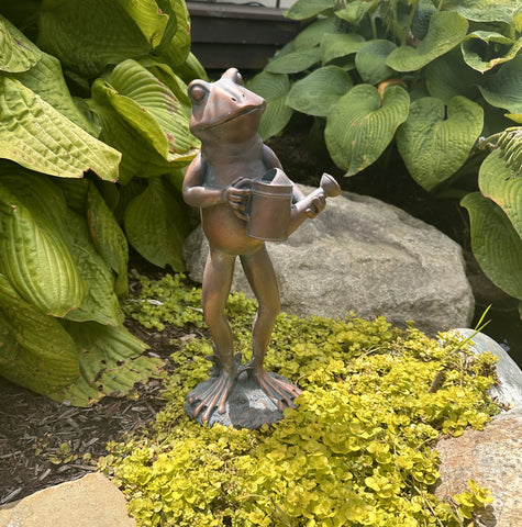 Garden Frog with Watering Can