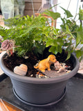 Create a Tiny Porch Garden Workshop