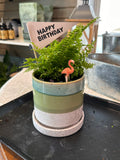 Create a Tiny Porch Garden Workshop