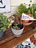 Create a Tiny Porch Garden Workshop
