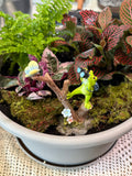 Create a Tiny Porch Garden Workshop