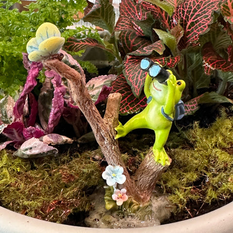 Create a Tiny Porch Garden Workshop
