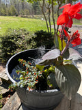 Patio Pond Workshop