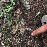 Netting Staples