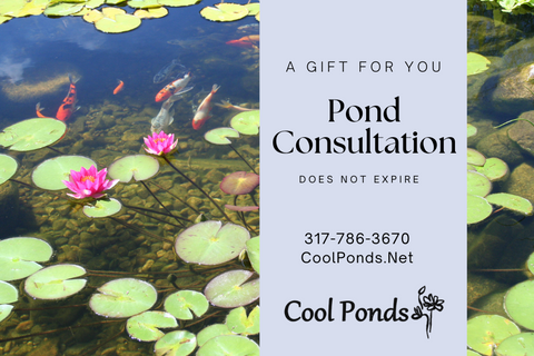 Gift Card -- Pond Consultation