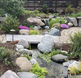 Pond Plant Design Workshop