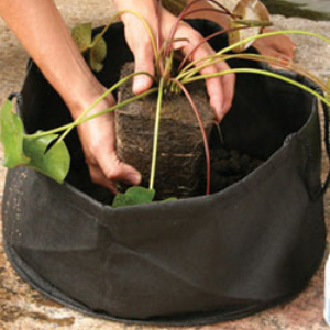 fabric plant pots